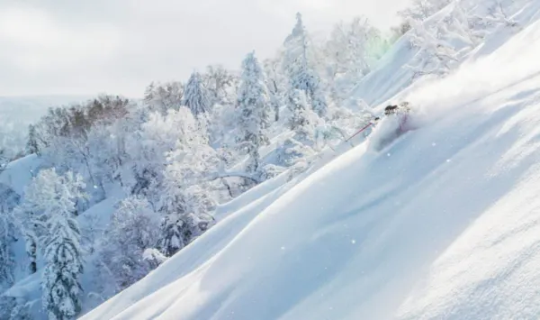 Japón Deslumbra con su Increíble Nieve Polvo en Japow